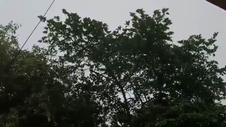 রবিবার উত্তর ও দক্ষিণ চব্বিশ পরগনা পূর্ব ও পশ্চিম মেদিনীপুর ঝাড়গ্রাম এই পাঁচ জেলাতে বজ্রবিদ্যুৎ সহ হালকা মাঝারি বৃষ্টির সম্ভাবনা ছিল। তবে কোথাও থেকেই মুষলধারায় বৃষ্টির খবর মেলেনি।