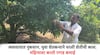 Farmer Success Story: व्यवसायात नुकसान; युवा शेतकऱ्याने धरली शेतीची कास; चिकू आणि खरबूजच्या लागवडीतून लाखोचे उत्पन्न