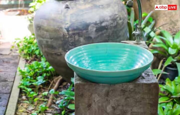 ਗਮਲਿਆਂ ਵਿੱਚ ਪਾਣੀ ਇਕੱਠਾ ਨਾ ਹੋਣ ਦਿਓ - ਮੱਛਰ ਖੜ੍ਹੇ ਪਾਣੀ ਵਿੱਚ ਆਂਡੇ ਦਿੰਦੇ ਹਨ, ਇਸ ਲਈ ਗਮਲਿਆਂ ਦੀਆਂ ਤਸ਼ਤਰੀਆਂ, ਕੂਲਰ, ਟੈਂਕੀਆਂ ਆਦਿ ਨੂੰ ਨਿਯਮਿਤ ਤੌਰ 'ਤੇ ਸਾਫ਼ ਕਰੋ।