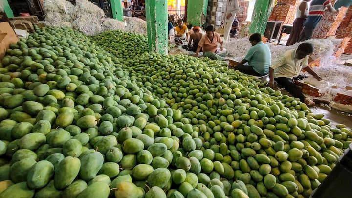 ৩০ থেকে ৪০ কিলোমিটার গতি বেগে দমকা ঝোড়ো বাতাস জলপাইগুড়ি ও কোচবিহার জেলায় বইতে পারে। পরবর্তী ৩ দিন তাপমাত্রায় বিশেষ কোনো পরিবর্তনের সম্ভাবনা নেই