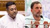 BJP Slams Rahul Gandhi For Remarks Against EC In US: 'Venting Ire Against ED Action...'