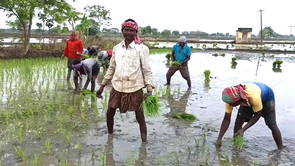 தமிழக விவசாயிகளை அச்சுறுத்தும் வடமாநில தொழிலாளர்கள்.. இது எங்க போய் முடியுமோ..?