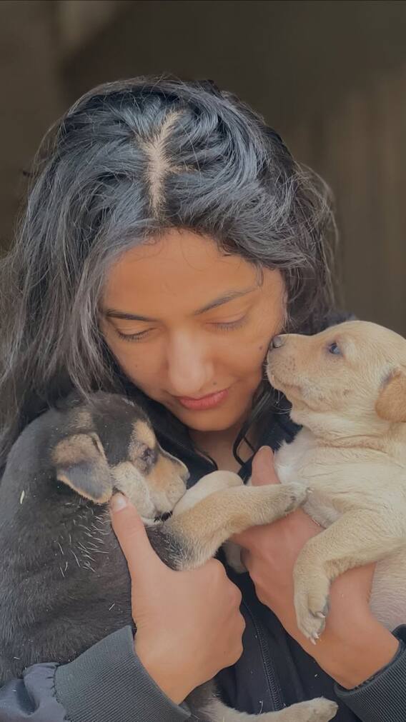 दिशा पाटनी की बहन ने किया ऐसा काम, हर तरफ हो रही वाहवाही