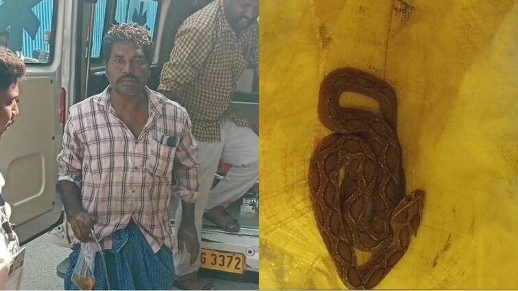 Salem news person arrived at the government hospital in a 108 ambulance with a snake tnn பாம்புடன் ஆம்புலன்ஸில் அரசு மருத்துவமனைக்கு வந்த நபர்... சேலத்தில் பரபரப்பு
