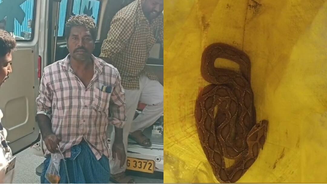 பாம்புடன் ஆம்புலன்ஸில் அரசு மருத்துவமனைக்கு வந்த நபர்... சேலத்தில் பரபரப்பு