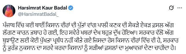 ਕਿਸਾਨਾਂ ਦੀ ਸੈਂਕੜੇ ਏਕੜ ਫ਼ਸਲ ਅੱਗ ਲੱਗਣ ਕਰਕੇ ਹੋਈ ਤਬਾਹ, ਅੱਗ ਬੁਝਾਉਣ ਲਈ ਸਰਕਾਰ ਨੇ ਨਹੀਂ ਕੀਤੇ ਕੋਈ ਪੁਖਤਾ ਪ੍ਰਬੰਧ, ਕਿਸਾਨਾਂ 'ਚ ਰੋਸ
