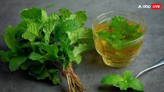 गर्मियों में बड़े काम का है पुदीना, सिर्फ डिहाइड्रेशन नहीं इन बीमारियों में भी करता है असर