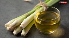 घर में मच्छरों का बढ़ गया है आतंक, भगाने के लिए अपनाएं ये ईजी हैक्स