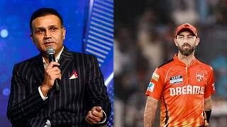 छुट्टी मनाने और पीने, वीरेंद्र सहवाग ने ग्लेन मैक्सवेल को लताड़ा; पहले बोला था दारुबाज और अब...