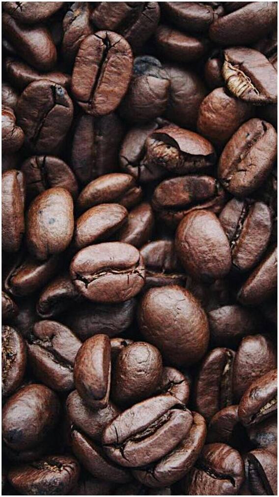 इन 8 देसी फूड में कूट-कूटकर भरा होता है आयरन