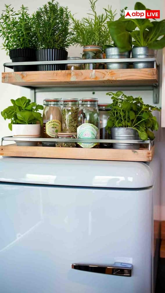 फ्रिज के ऊपर कौन सी चीजें नहीं रखनी चाहिए