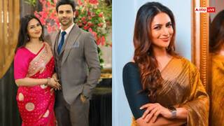 दिव्यांका त्रिपाठी ने डेंगू होने पर पिया इस पत्ते का जूस, जानें ये प्लेटलेट्स बढ़ाने में कितना कारगर 