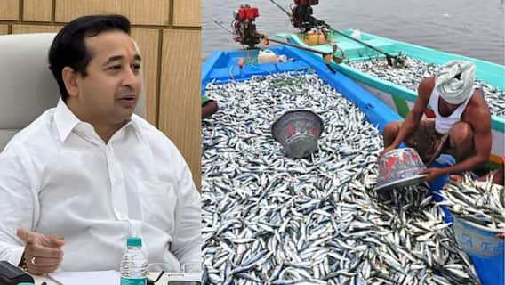 मंत्रिमंडळ बैठकीत गेमचेंजर निर्णय, राज्यातील मच्छिमारांना शेतकऱ्यांप्रमाणे स्वस्त कर्ज आणि वीज मिळणार: नितेश राणे