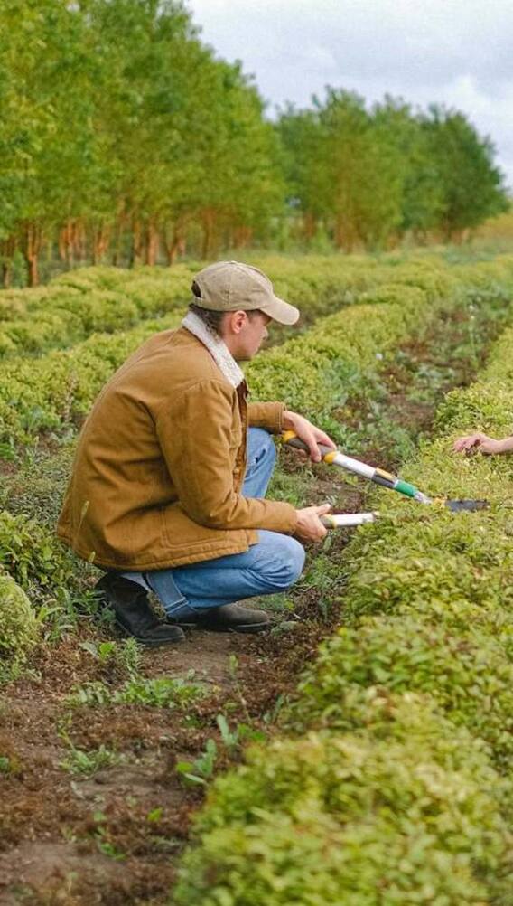 मैक्सिको में कितनी होती है मजदूरों की सैलरी