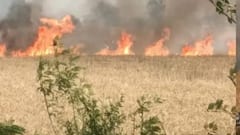 जम्मू में खेतों में लगी आग से 400 कनाल गेहूं की फसल राख, किसानों ने की मुआवजे की मांग