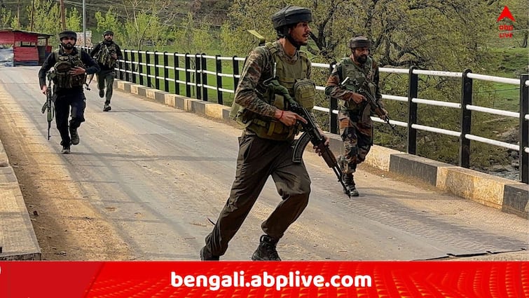 Jammu and Kashmir Attack On Amarnath Pilgrims Karnataka Resident Manjunath Rao Killed and  ordered his family has to be inform this to PM Modi Kashmir Attack: 'আমাদেরও মেরে ফেলো..', কাশ্মীরে স্বামীকে হারিয়ে জঙ্গিকে বলেন পল্লবী ; 'মোদিকে গিয়ে জানা', পাল্টা বলে জঙ্গি !
