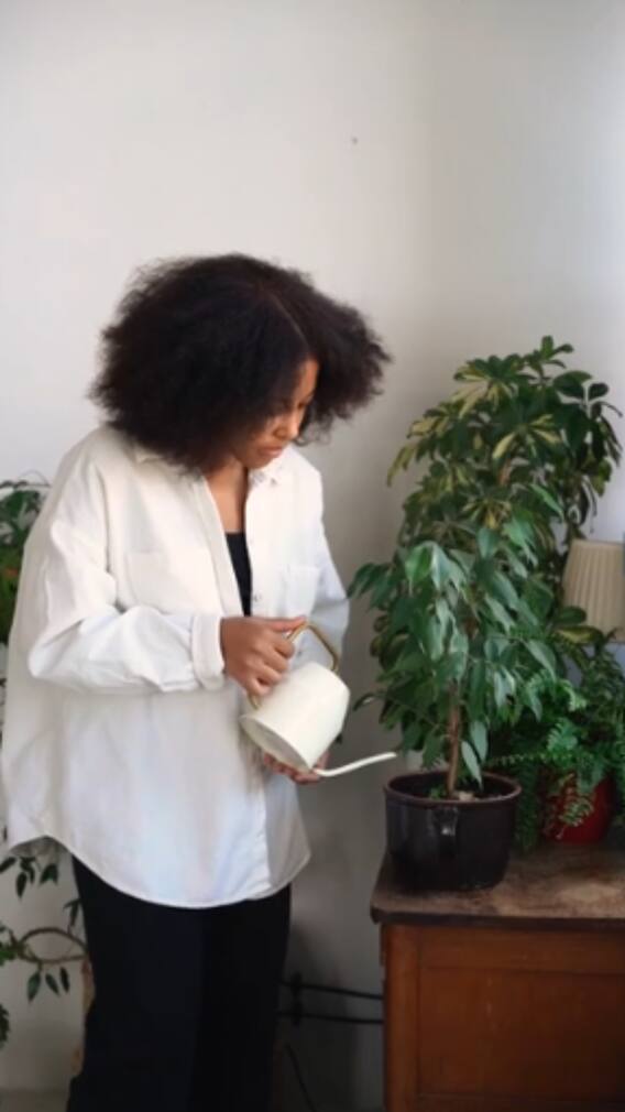 10 Best Indoor Plants To Grow For Earth Day