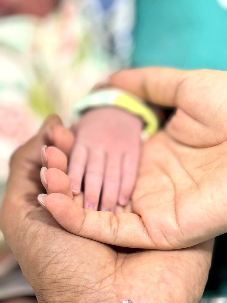4-ஆவது ஆண்டு திருமண நாளில் கிடைத்த பரிசு -  2ஆவது முறையாக அப்பாவானார் விஷ்ணு விஷால்!