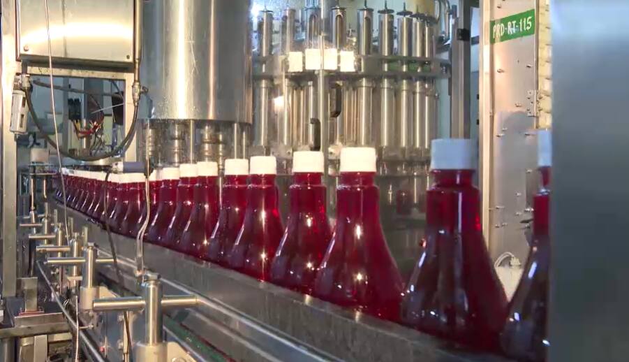 गुलाब की पंखुड़ियों से लेकर बोतल तक, जानिए कैसे तैयार होता है पतंजलि का शरबत