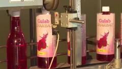ગુલાબની પાંખડીઓથી લઈને બોટલ સુધી, જાણો કેવી રીતે બને છે પતંજલિનું શરબત 