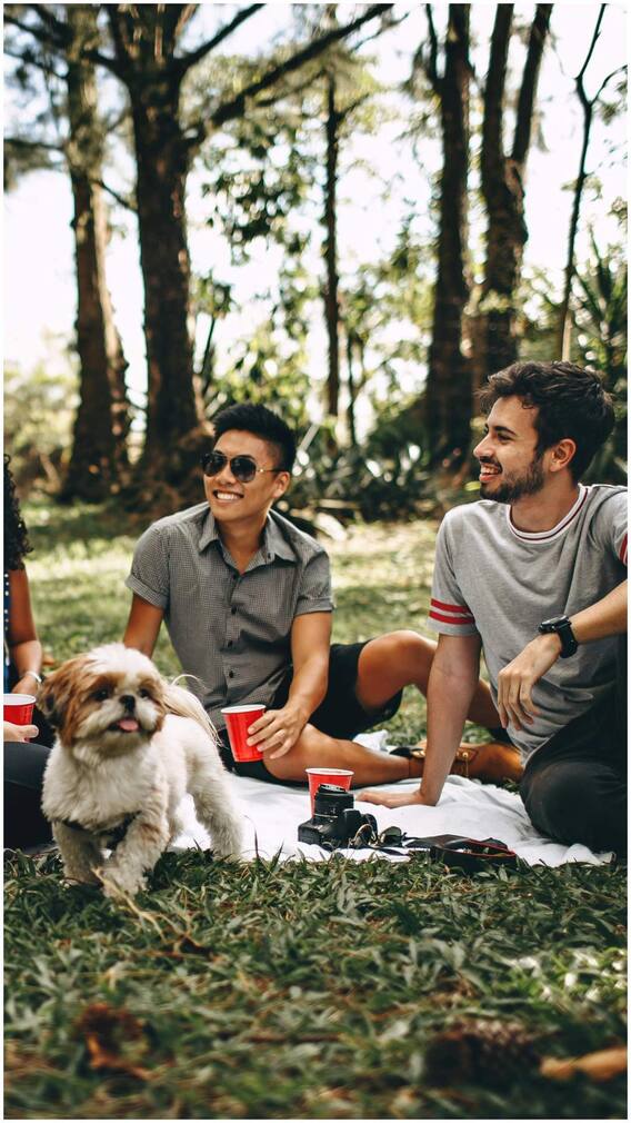 हर साल 23 अप्रैल को क्यों मनाया जाता है नेशनल पिकनिक डे