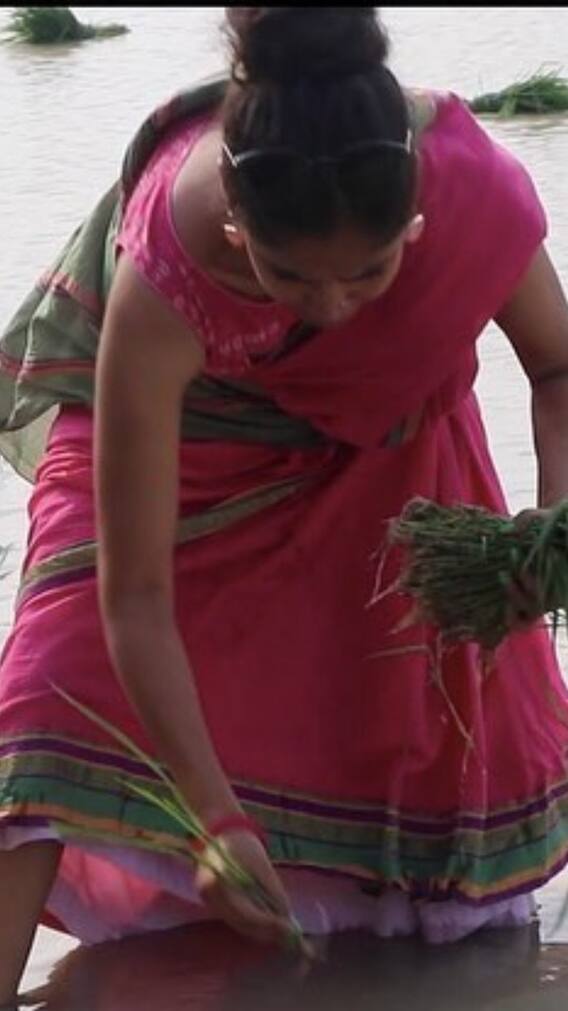 टीवी पर राज करती थी ये एक्ट्रेस, अब खेती करते हुए आती है नजर