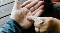 Palmistry: हथेली की ये रेखाएं देती हैं, धनवान बनने के संकेत!