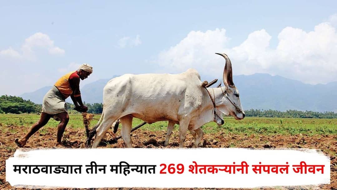 Marathwada News 269 ​​farmers ended their lives in three months highest number in Beed Maharashtra Marathi Update Marathwada News : मराठवाड्यात तीन महिन्यात 269 शेतकऱ्यांनी संपवलं जीवन, बीडची आकडेवारी चिंताजनक, शासन काय उपाययोजना राबवणार?