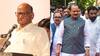 'अजित पवार-शरद पवार एकसाथ आए तो...', NCP नेता का बड़ा बयान, महाराष्ट्र में राजनीतिक हलचल तेज