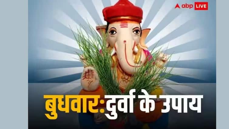 व्यापार में तरक्की और भाग्य में वृद्धि के लिए बुधवार को दुर्वा से जुड़ा कर लें ये उपाय! गणेश जी