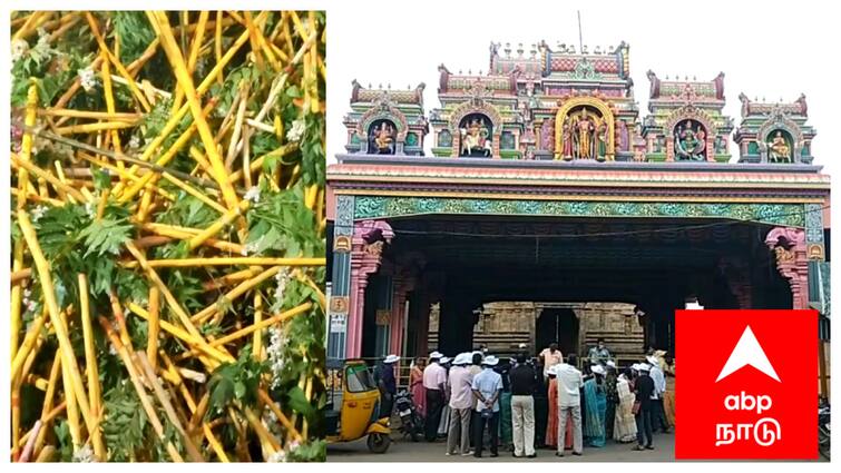 Mayiladuthurai district Vaitheeswaran Temple sithirai month Nagarathar Festival வைத்தீஸ்வரன்கோயிலில் 200 ஆண்டுகளுக்கு மேலாக தொடரும் பாரம்பரிய வழிபாடு - பலநூறு கிலோமீட்டர் பாதயாத்திரையாக வந்து தரிசனம் செய்யும் பக்தர்கள்.