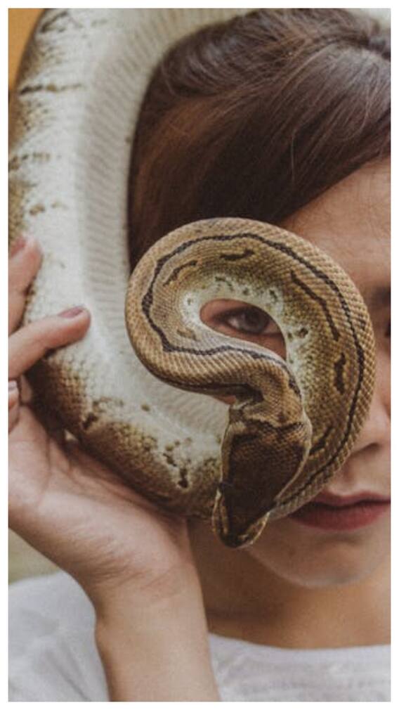 यहां होती है खतरनाक सांपों की खेती