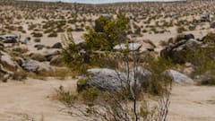 दिल्ली की भयंकर गर्मी से हो रहे हैं परेशान? इन देशों में तो दो मिनट भी नहीं टिक पाएंगे आप