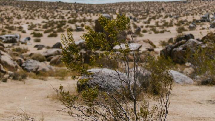 अमेरिका के केलिफोर्निया में एक जगह है, जिले डेथ वैली के नाम से जानते हैं. सन् 1913 में यहां के रेगिस्तान में तापमान 56.7 डिग्री सेल्सियस पहुंच गया था. जबकि अगस्त 2020 में यहां का तापमान 54.4 डिग्री सेल्सियस था.