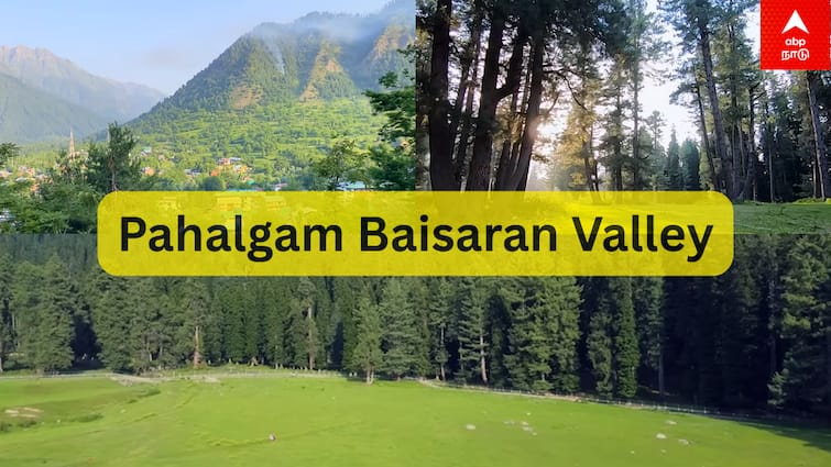 Pahalgam Tourist Attractions Where Is Baisaran Valley Mini Switzerland Pahalgam Baisaran Valley: களையிழந்த மினி சுவிட்சர்லாந்து.. பயங்கரவாதிகள் தாக்குதலால் இருள் சூழ்ந்த பைசரன் பள்ளத்தாக்கு