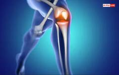 ਦੁੱਧ ਦੀ ਬਜਾਏ ਦਹੀਂ ਵਿੱਚ ਮਿਲਾ ਕੇ ਖਾਓ ਮਖਾਨੇ, ਮਿਲਣਗੇ ਇਹ ਹੈਰਾਨੀਜਨਕ ਫ਼ਾਇਦੇ