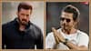 'बेगुनाहों को निशाना बनाया जा रहा है', पहलगाम अटैक पर बोले सलमान खान, शाहरुख खान ने भी किया रिएक्ट