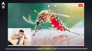 ਡੇਂਗੂ, ਮਲੇਰੀਆ ਜਾਂ ਟਾਇਫਾਇਡ...ਕਿਹੜੀ ਬਿਮਾਰੀ ਸਰੀਰ ਨੂੰ ਬਣਾ ਦਿੰਦੀ ਖੋਖਲਾ! ਜਾਣੋ ਕਿਵੇਂ ਸਰੀਰਕ ਕਮਜ਼ੋਰੀ ਕੀਤੀ ਜਾਏ ਦੂਰ