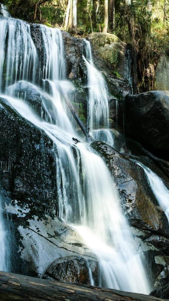 छत्तीसगढ़ में है ये वॉटरफॉल, जहां जाने के लिए करना होता है जंगल का सफर