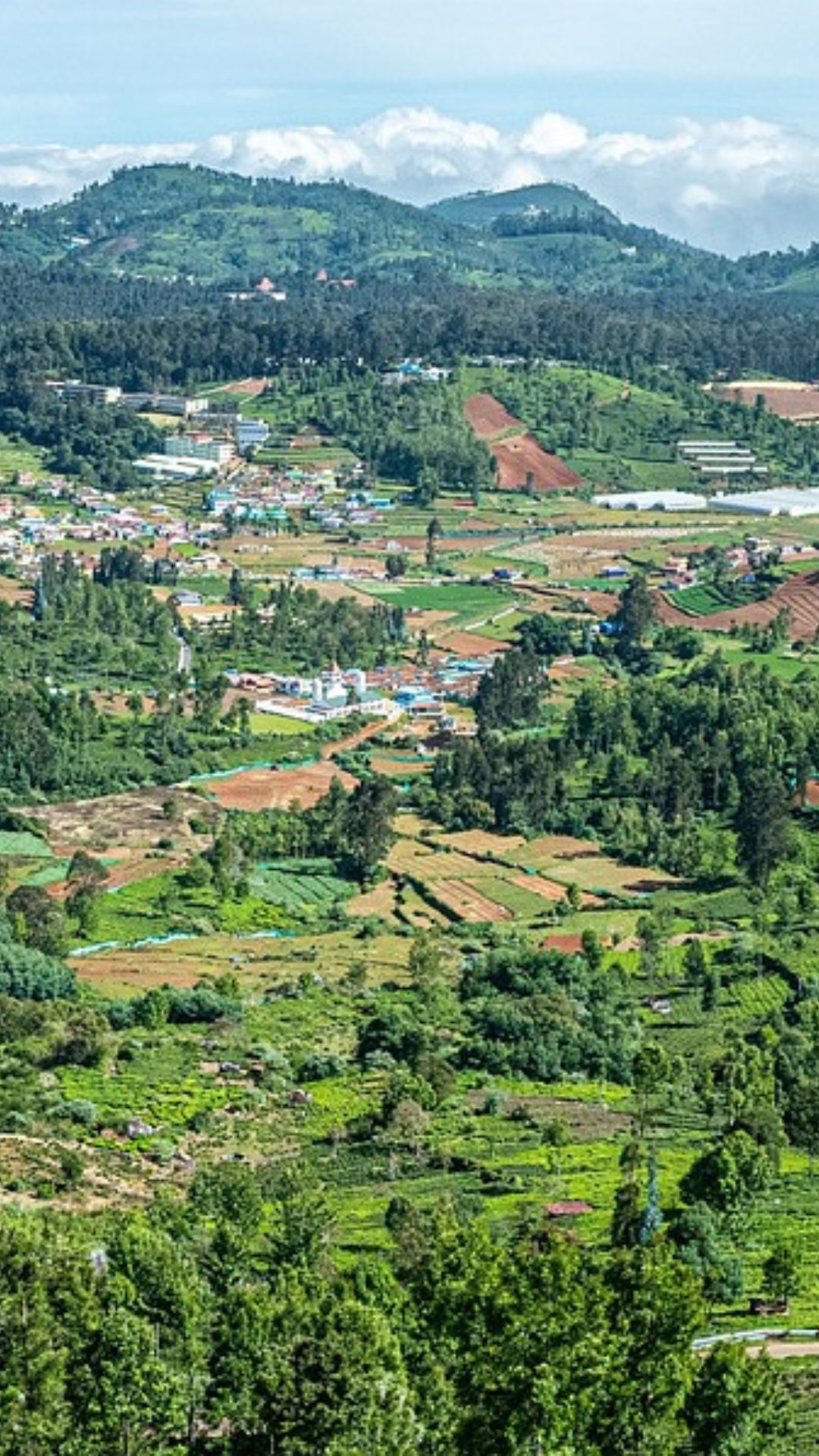 தாவரவியல் பூங்கா