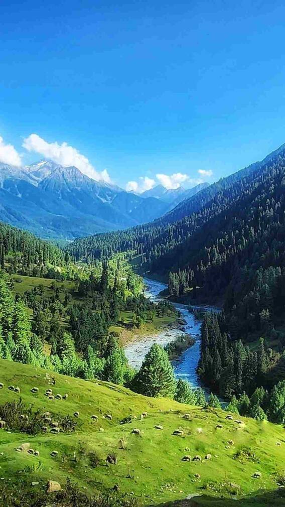 अप्रैल-मई में कितने लोग कश्मीर घूमने जाते हैं