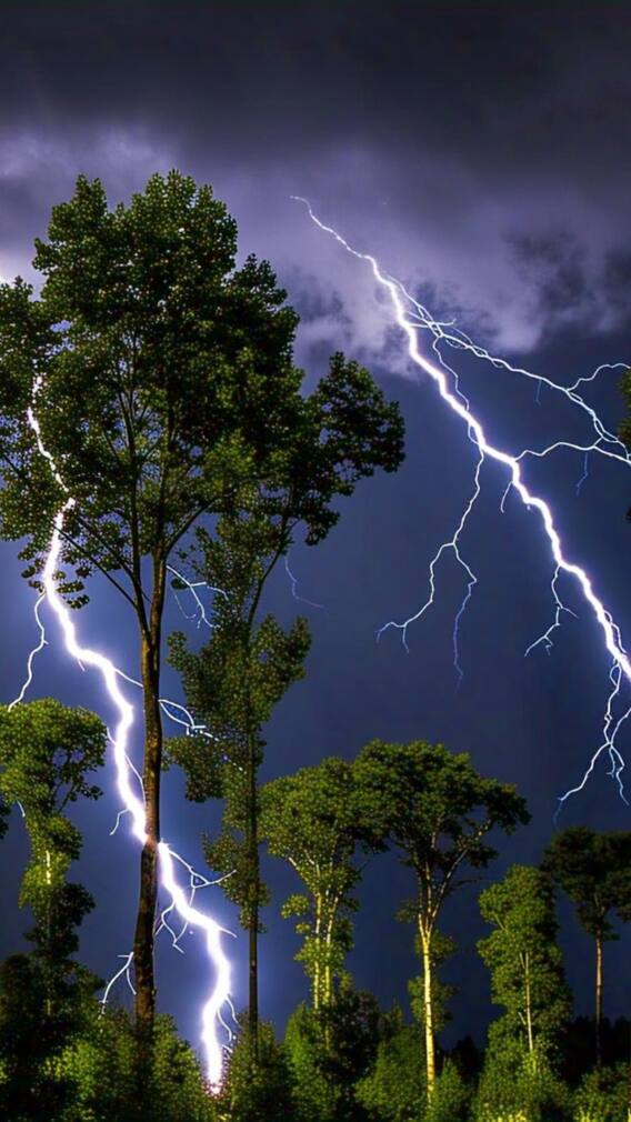 पेड़ों पर ही ज्यादा क्यों गिरती है बिजली?