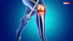 दूध नहीं दही में मिलाकर खाएं मखाना, सेहत को मिलेंगे ये चौंक देने वाले फायदे