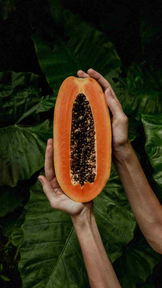 गर्मियों में पपीता खाने के फायदे क्या हैं