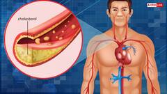 सहजन की फली का पानी पीने से होंगे ये जबरदस्त लाभ, शुगर से लेकर यूरिक एसिड होगा कंट्रोल