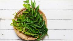 Benefits of Curry Leaves : తెల్లజుట్టురాకుండా.. హెయిర్ ఫాల్ అవ్వకుండా ఉండాలంటే.. కరివేపాకును ఇలా తీసుకోండి