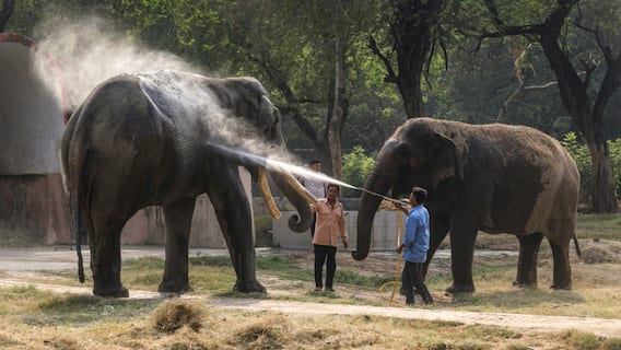 Yellow Alert In Delhi, As National Capital Braces For Intense Heatwave Through Weekend