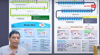 ਸੋਰਾਇਸਿਸ ਬਿਮਾਰੀ ‘ਤੇ ਪਤੰਜਲੀ ਦਾ ਸੋਧ ਵਿਸ਼ਵ ਪ੍ਰਸਿੱਧ ਜਰਨਲ ‘ਚ ਛਪਿਆ, ਰੰਗ ਲਿਆਈ ਪਤੰਜਲੀ ਦੀ ਮਿਹਨਤ