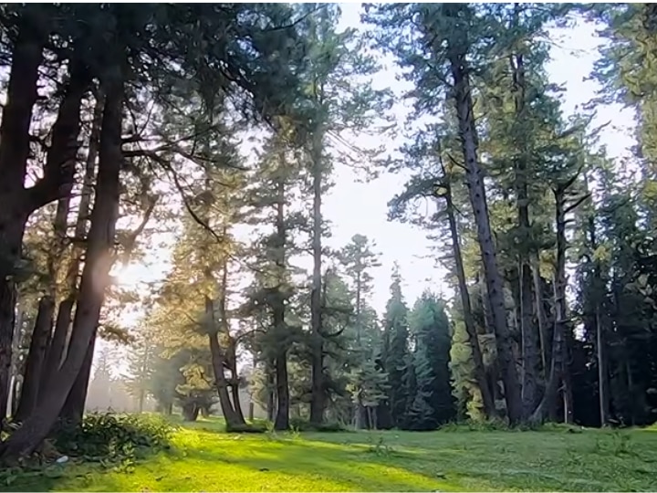 Pahalgam Baisaran Valley: களையிழந்த மினி சுவிட்சர்லாந்து.. பயங்கரவாதிகள் தாக்குதலால் இருள் சூழ்ந்த பைசரன் பள்ளத்தாக்கு