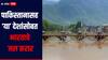 फक्त पाकिस्तानसोबच नाहीतर भारतानं 'या' देशांसोबतही केलेत जल करार, जाणून घ्या सविस्तर माहिती 